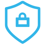 Secure Your Data icon